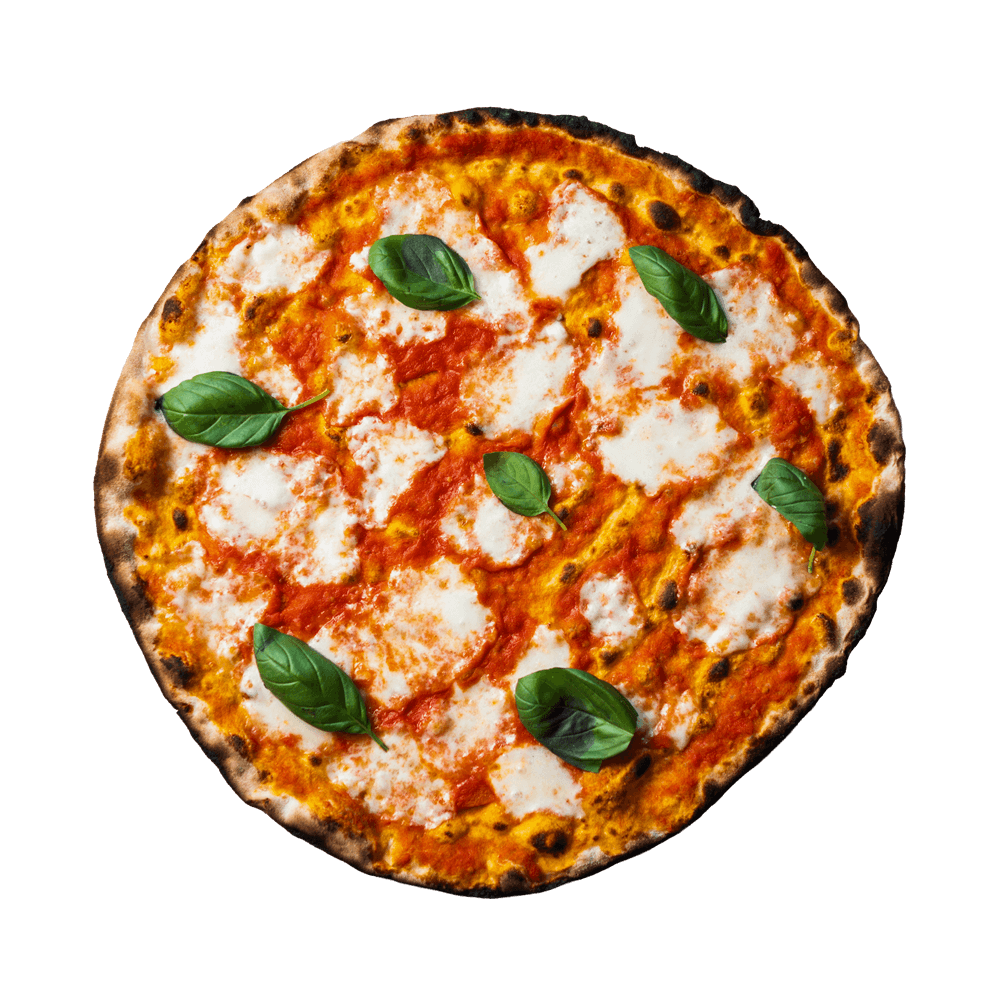 pizza margherita